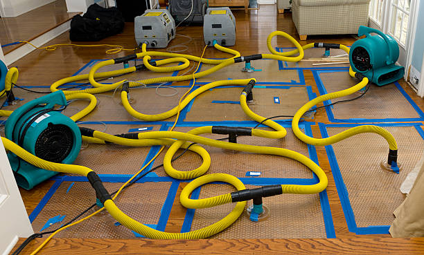 Professional Water Damage Repair technician working in Basking Ridge, NJ